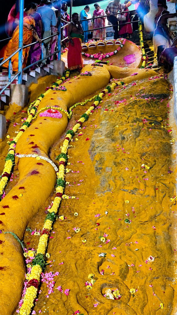 நாகபஞ்சமி: திருச்செங்கோடு மலையில் 60 அடி உயர ஆதிசேஷ சுவாமிக்கு சிறப்பு அபிஷேகம்.