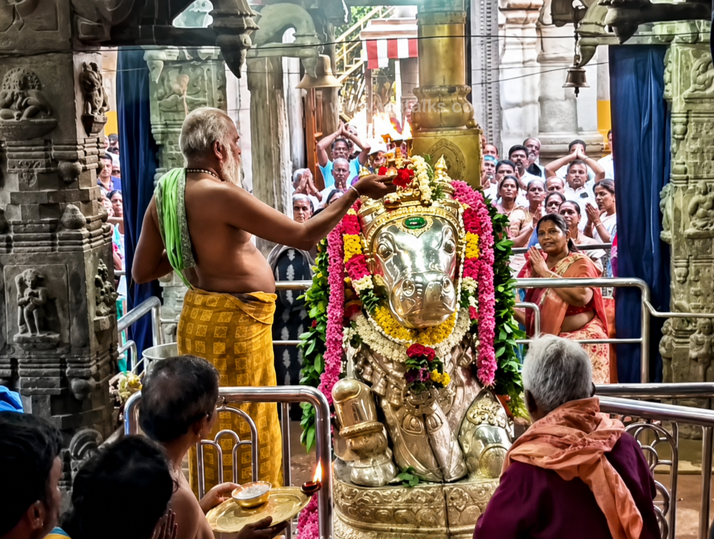 ராசிபுரம் கைலாசநாதர் கோவிலில் பிரதோஷ வழிபாடு; தேரை இழுத்து பக்தர்கள் தரிசனம்